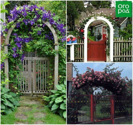 Арки для цветов - фото самых успешных проектов для дачи и сада